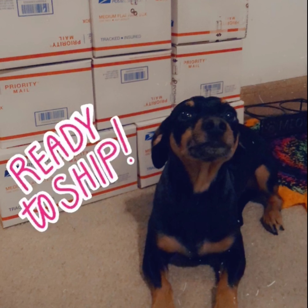 ✨Shipping Buddy✨